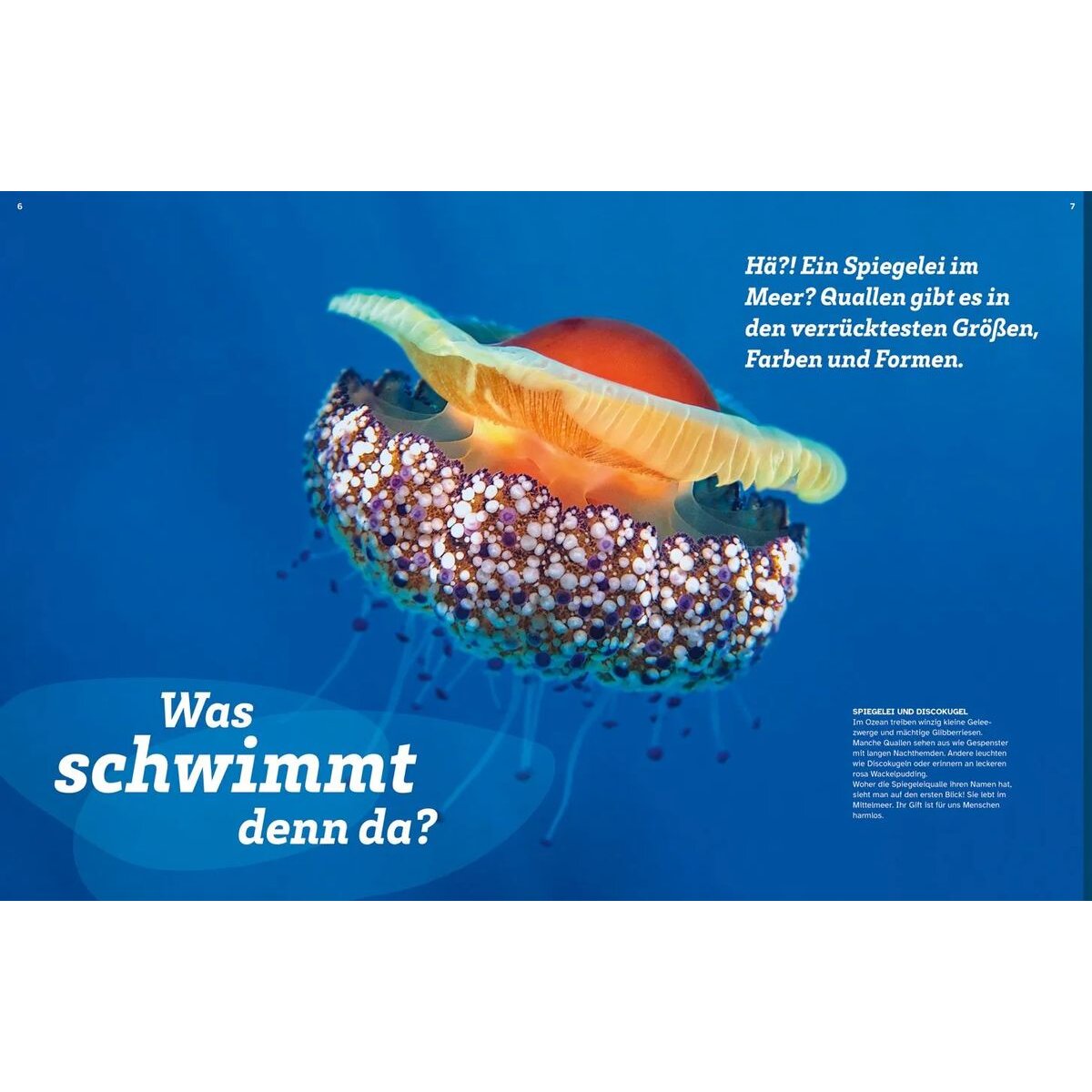 tessloff-was-ist-was-quallen-DEB488133.jpg