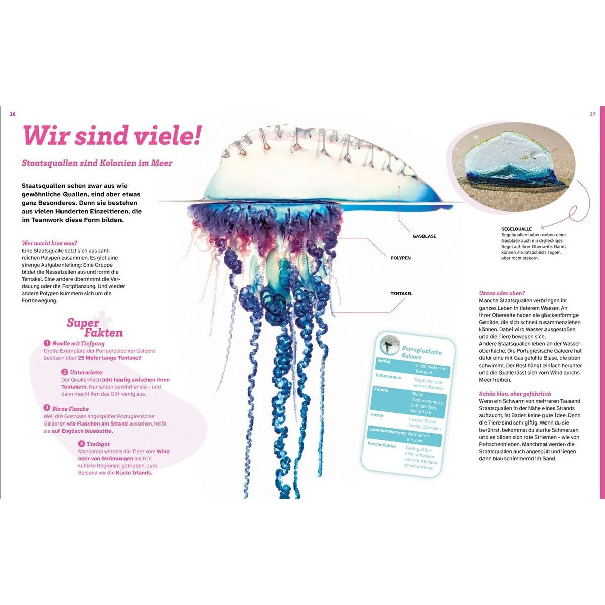 tessloff-was-ist-was-quallen-DEB488134.jpg