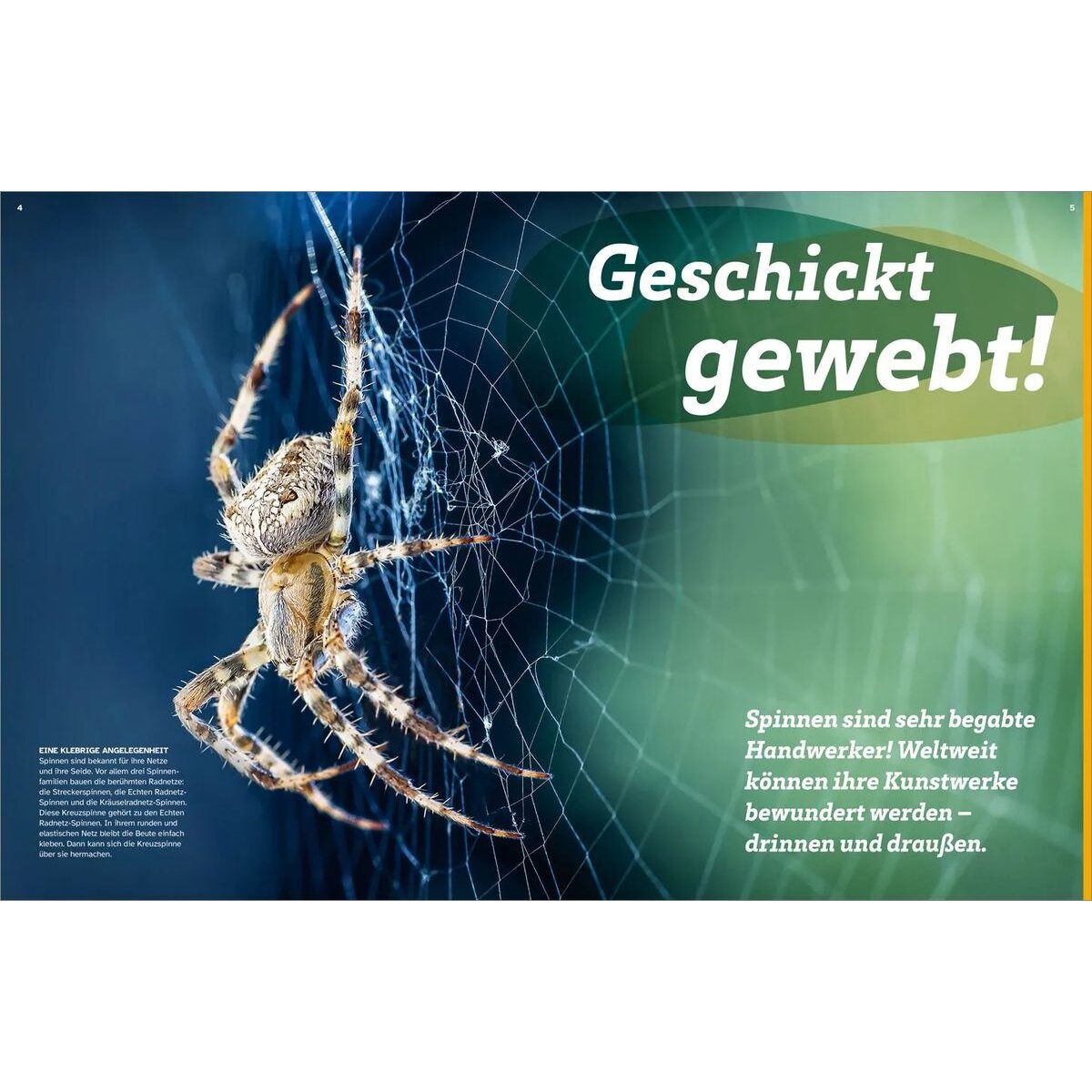 tessloff-was-ist-was-spinnen-13A949C34.jpg
