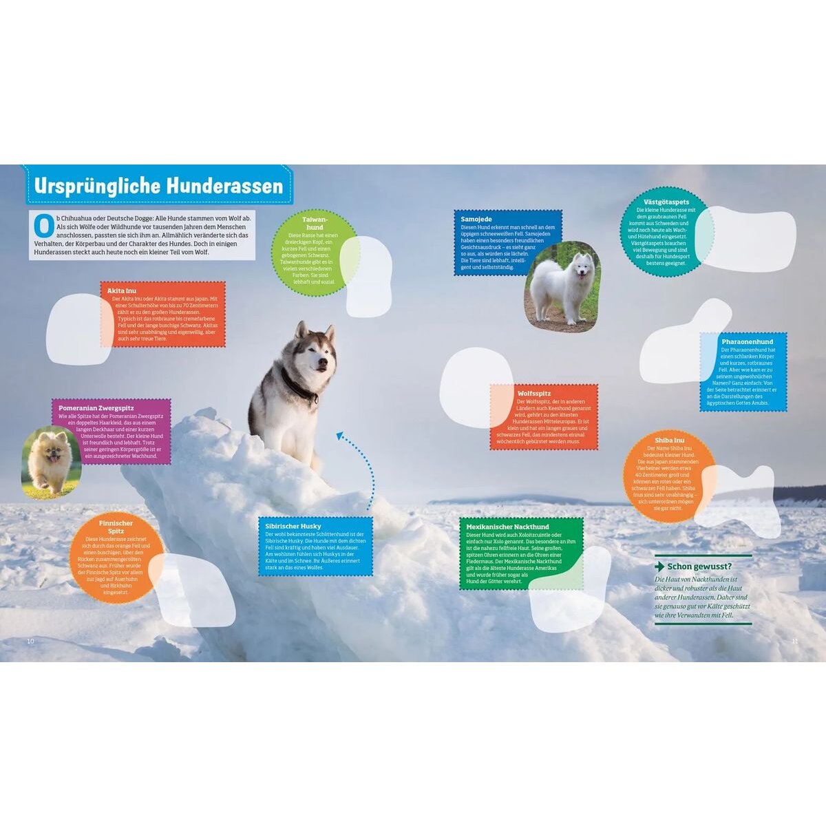 tessloff-was-ist-was-stickerheft-21B653BD2.jpg