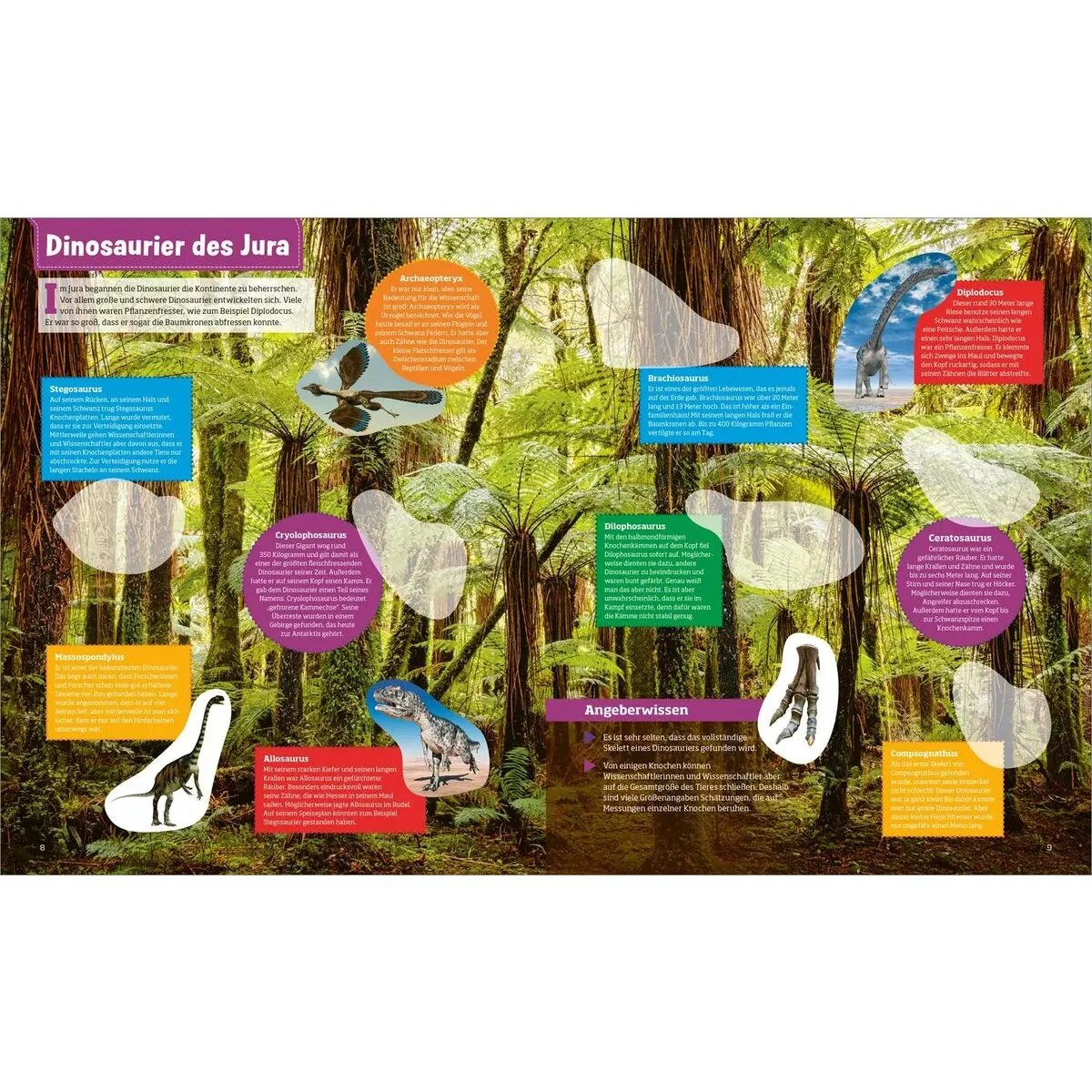 tessloff-was-ist-was-stickerheft-6F3FA60B2.jpg