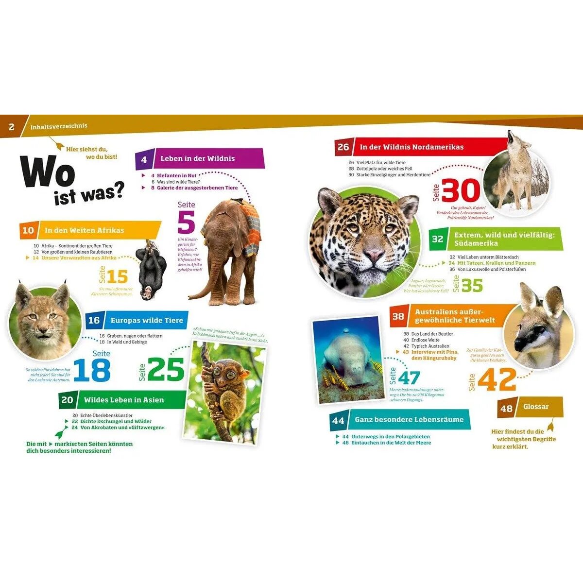 was-ist-was-wilde-tiere-54F877002.jpg