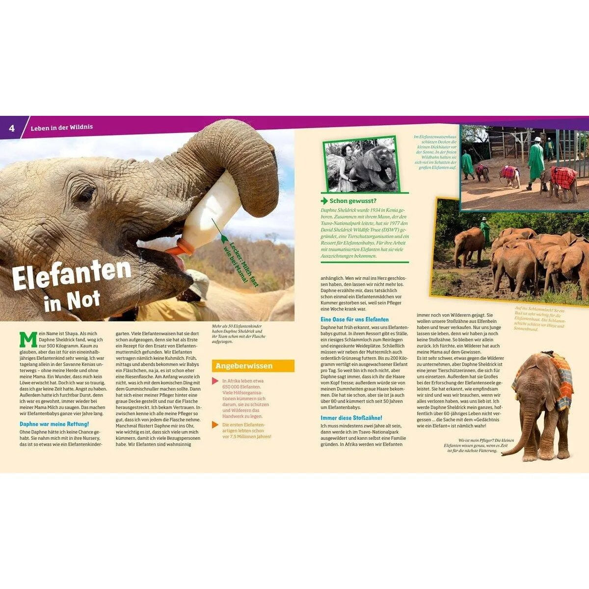was-ist-was-wilde-tiere-54F877003.jpg
