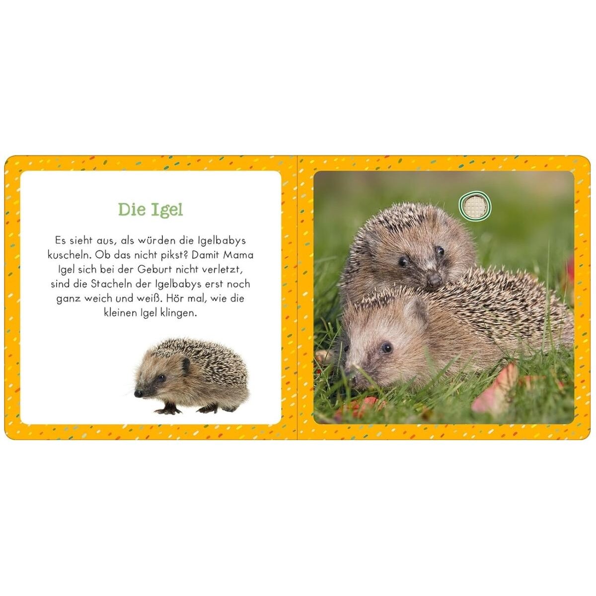 ars Edition Soundbuch für Klitzekleine – Kleine Tiere