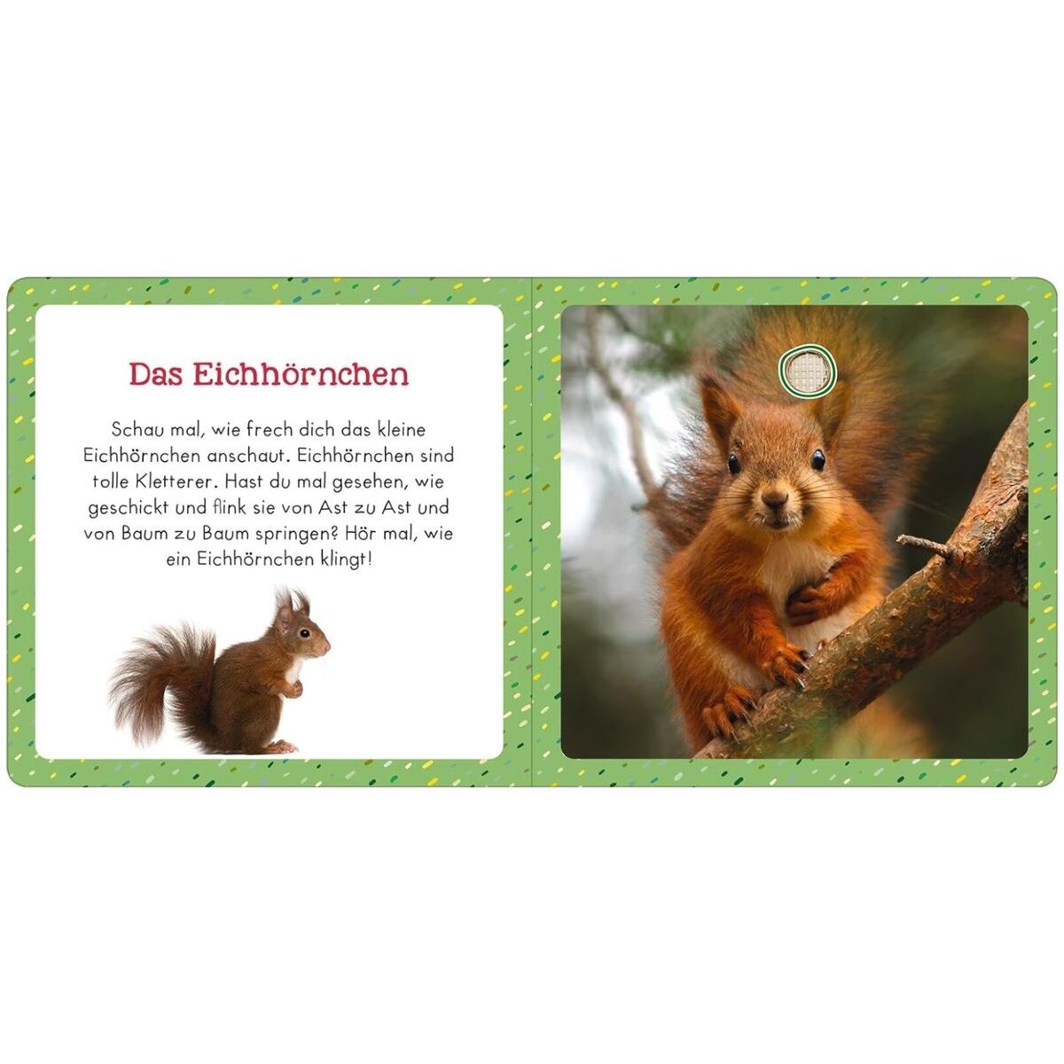 ars Edition Soundbuch für Klitzekleine – Lieblingstiere