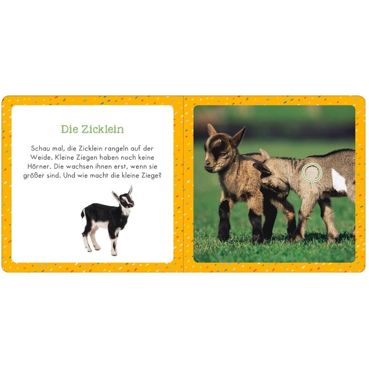 ars Edition Soundbuch für Klitzekleine – Bauernhoftiere