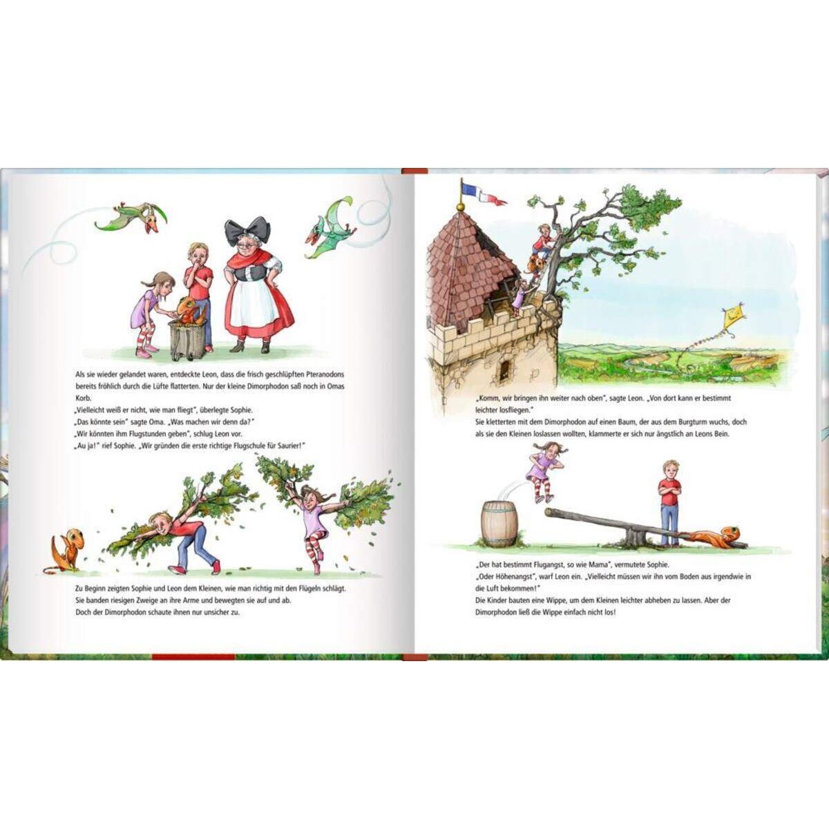 Coppenrath Verlag Dinosaurier in der Flugschule (Bd.3)