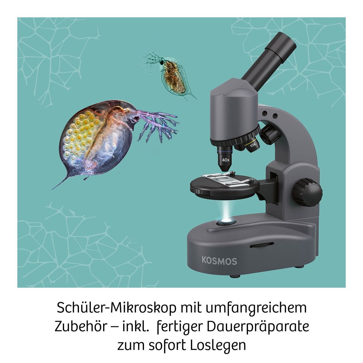 KOSMOS Mikroskop