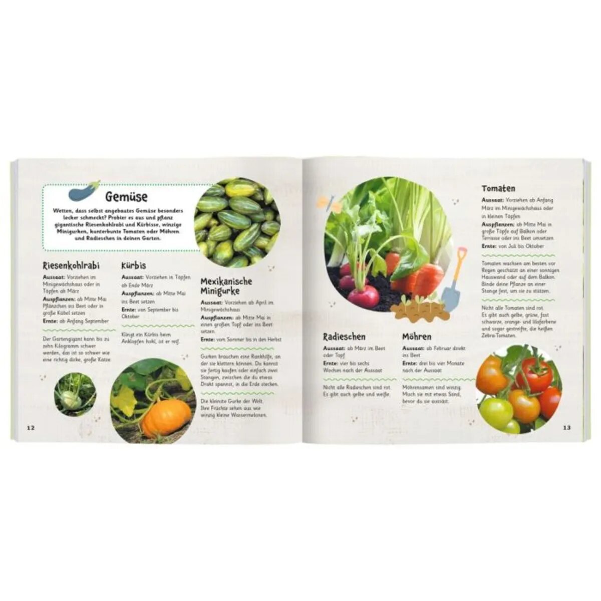 moses. Expedition Natur: Mein kunterbuntes Gartenbuch