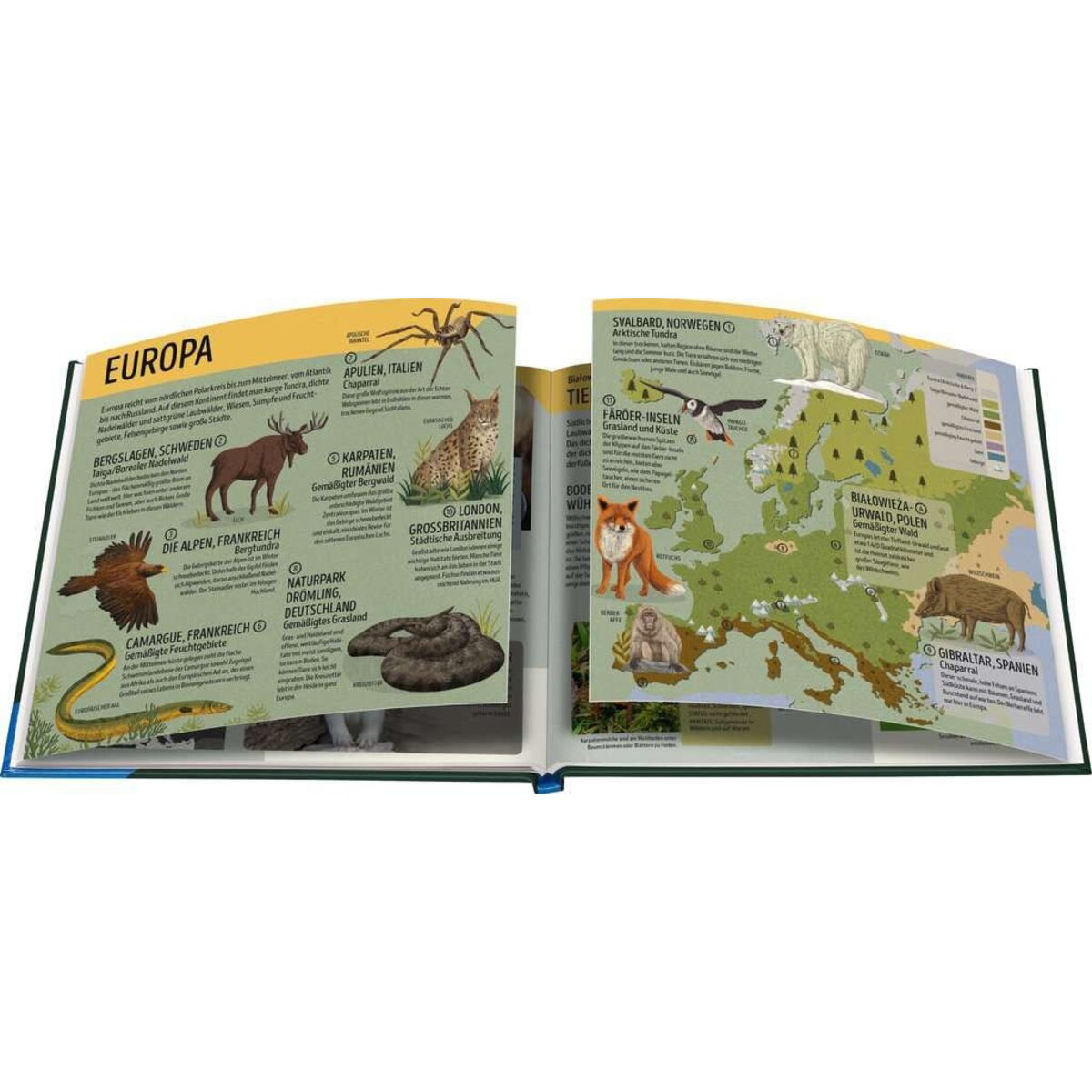 Ravensburger Der Ravensburger Tieratlas