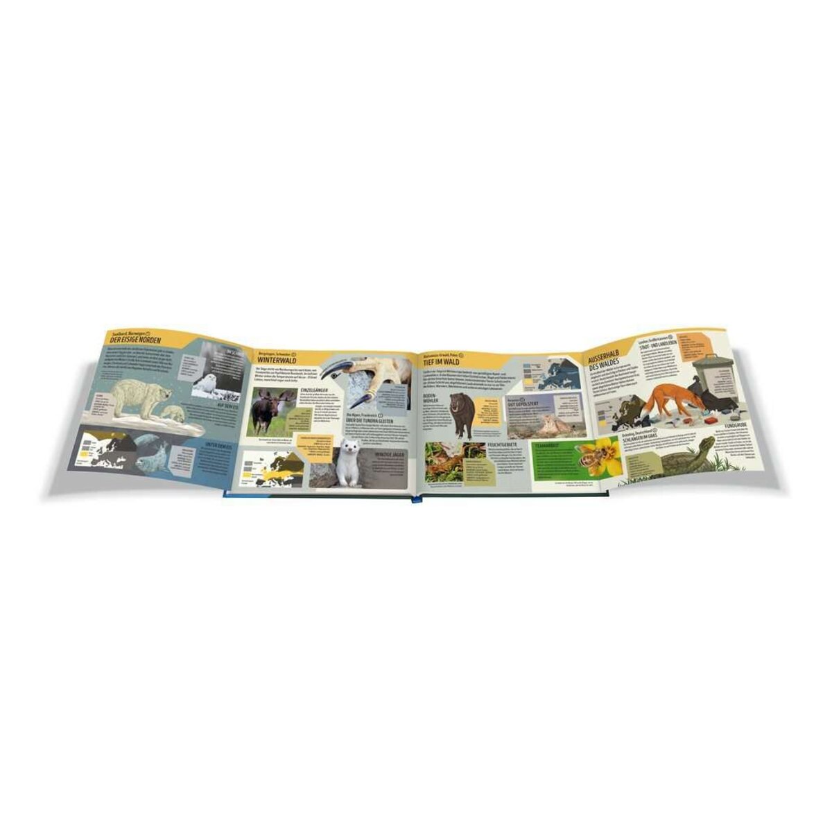 Ravensburger Der Ravensburger Tieratlas