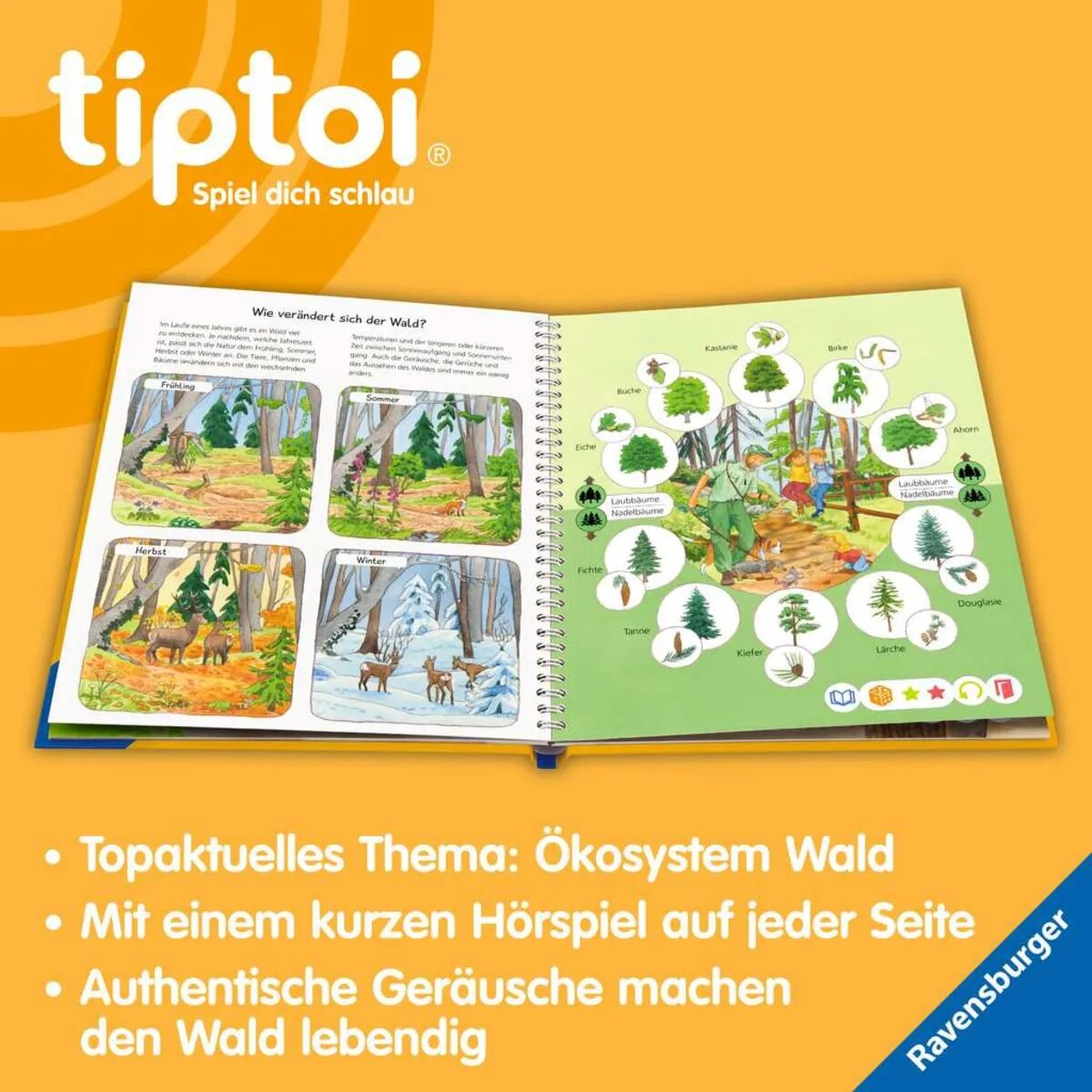 Ravensburger tiptoi® Wieso? Weshalb? Warum? Unser Wald