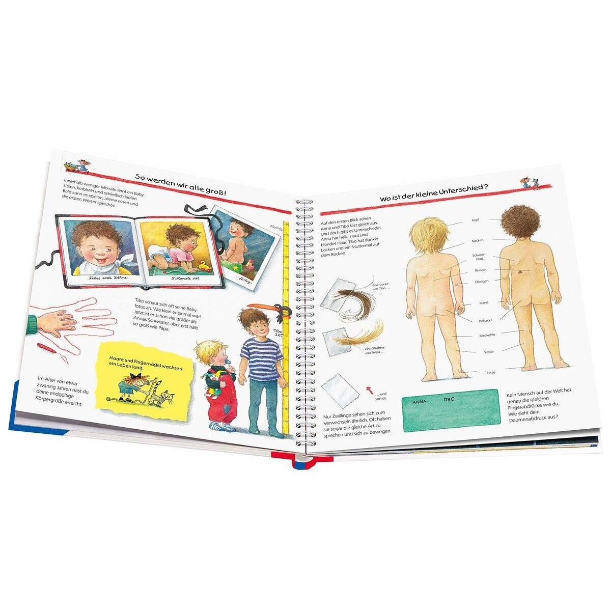 Ravensburger Wieso? Weshalb? Warum? Band. 1: Wir entdecken unseren Körper