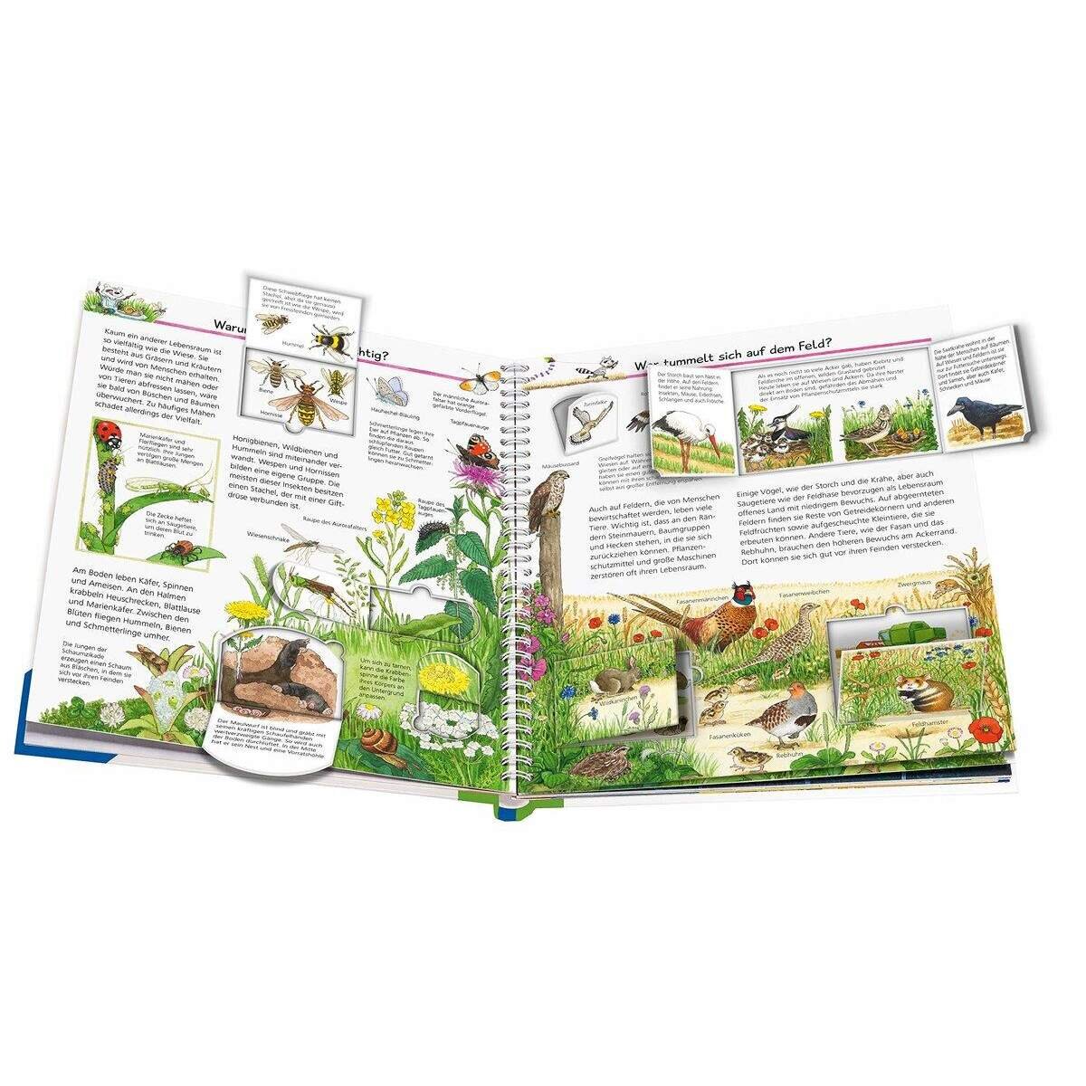 Ravensburger Wieso? Weshalb? Warum? Band 71: Wir entdecken heimische Tiere