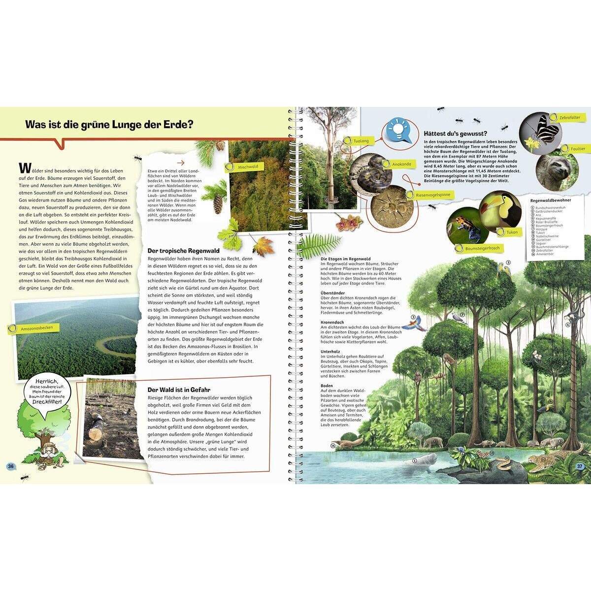Ravensburger Wieso? Weshalb? Warum? ProfiWissen, Band. 1: Die Erde