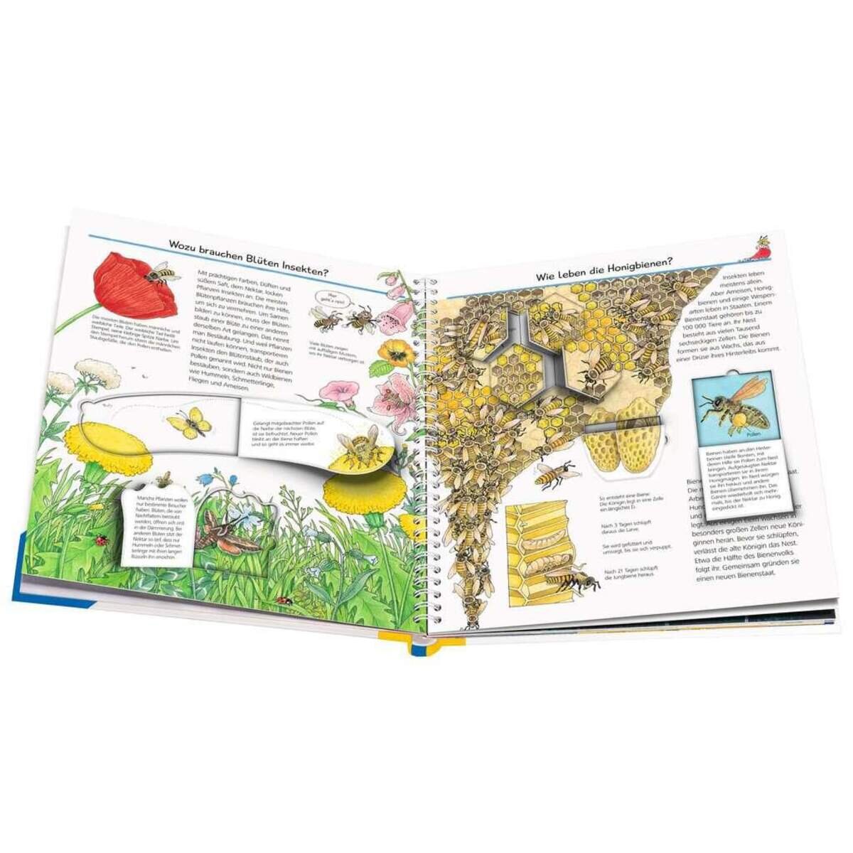 Ravensburger Wieso? Weshalb? Warum? Wir entdecken Insekten