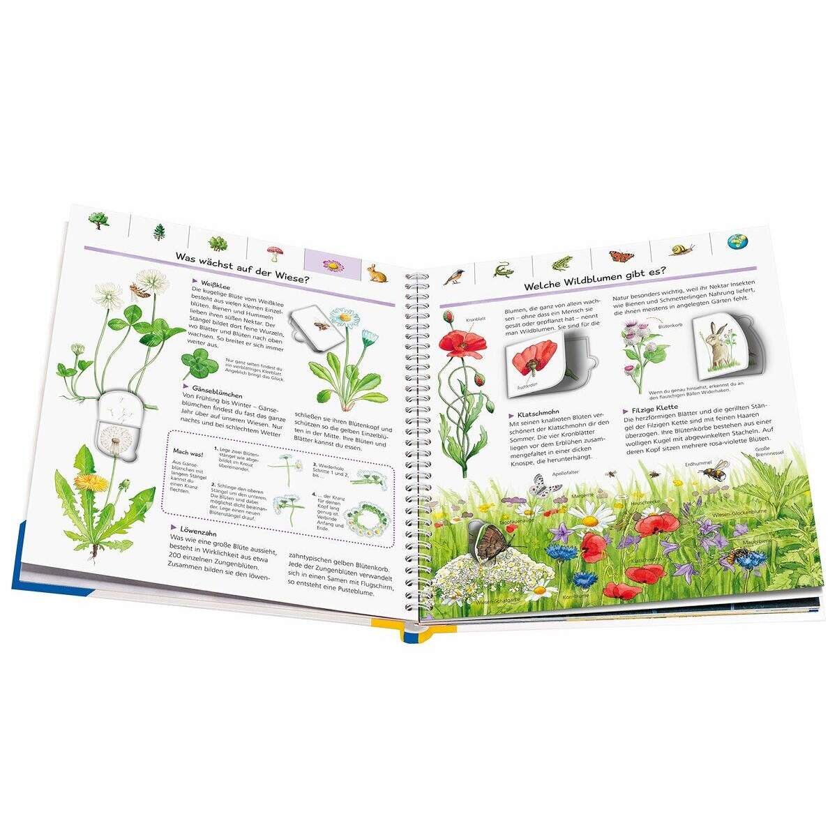 Ravensburger WWW Sonderband - Mein großes Natur-Lexikon