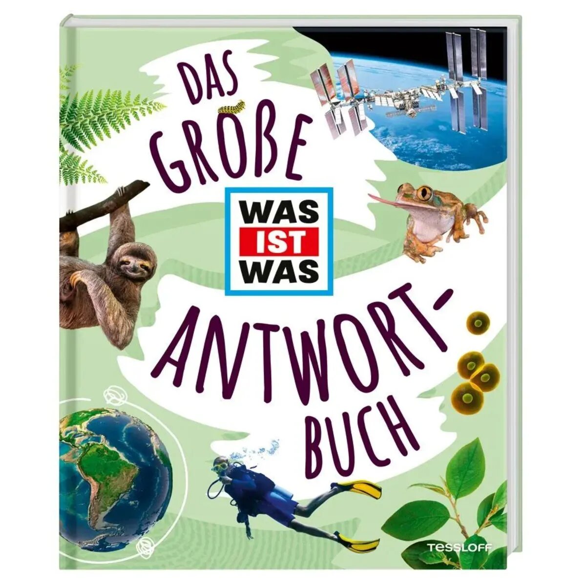 Tessloff Das große WAS IST WAS Antwortbuch