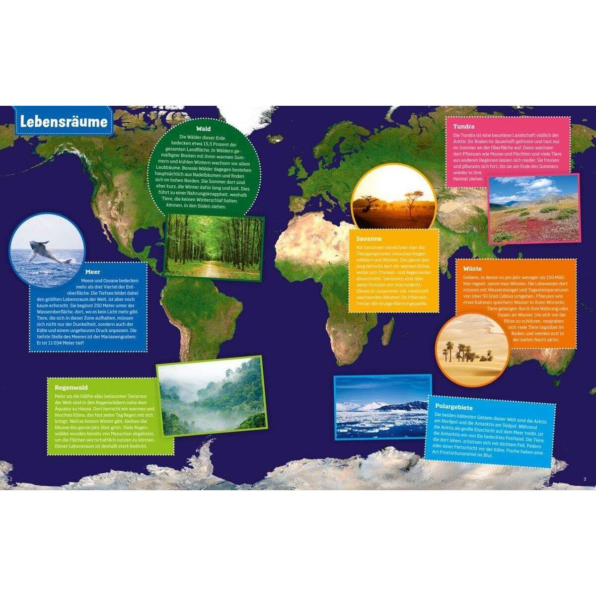 Tessloff WAS IST WAS - Geniale Tiere und ihre Tricks!