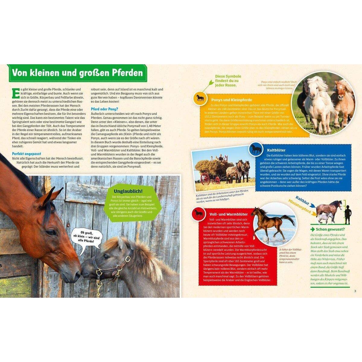 Tessloff WAS IST WAS - Pferde und Ponys