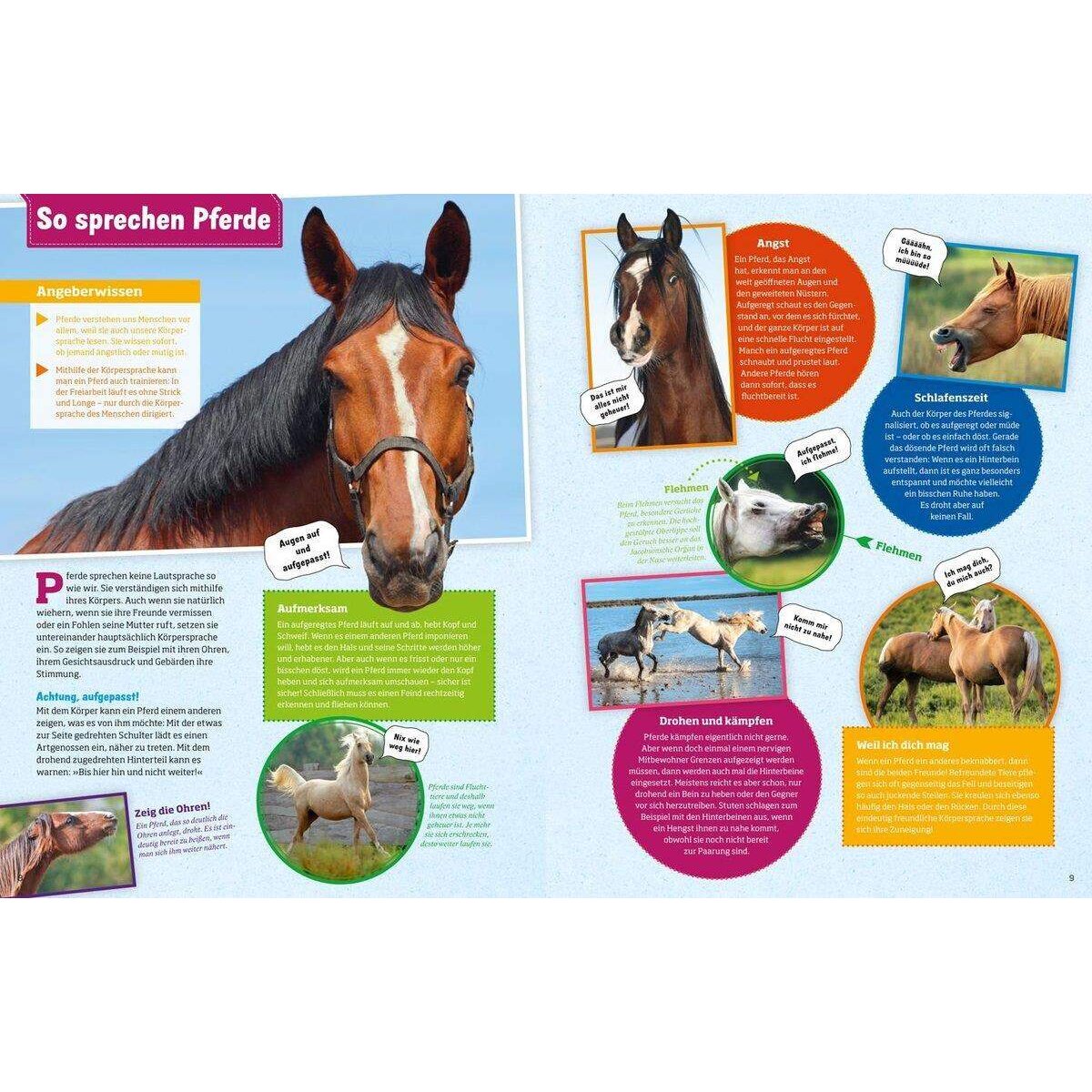 Tessloff WAS IST WAS - Pferde und Ponys