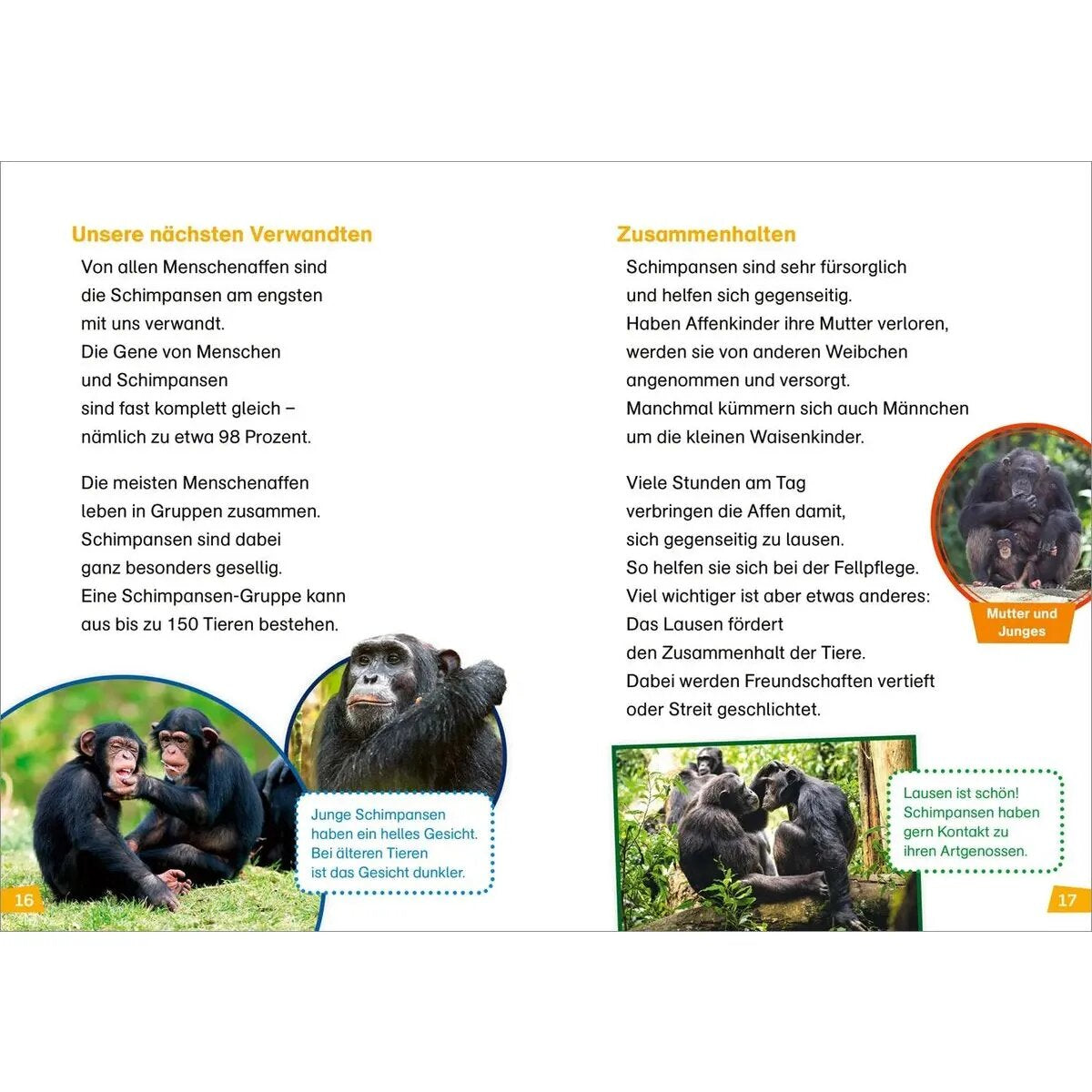 Tessloff WAS IST WAS Erstes Lesen Band 22. Menschenaffen