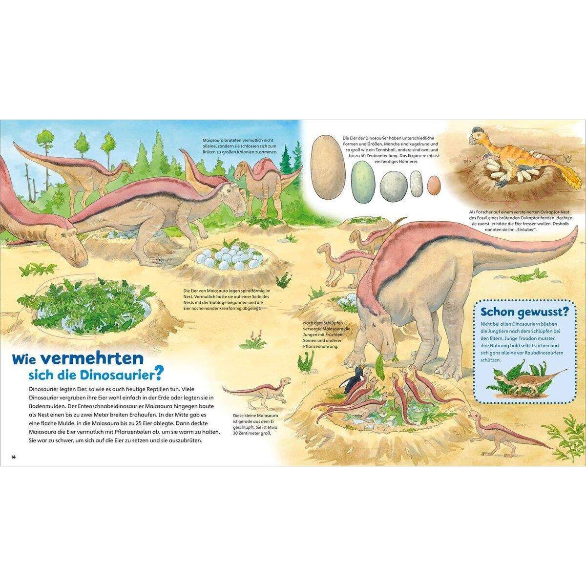 Tessloff WAS IST WAS Junior Band 3 - Dinosaurier