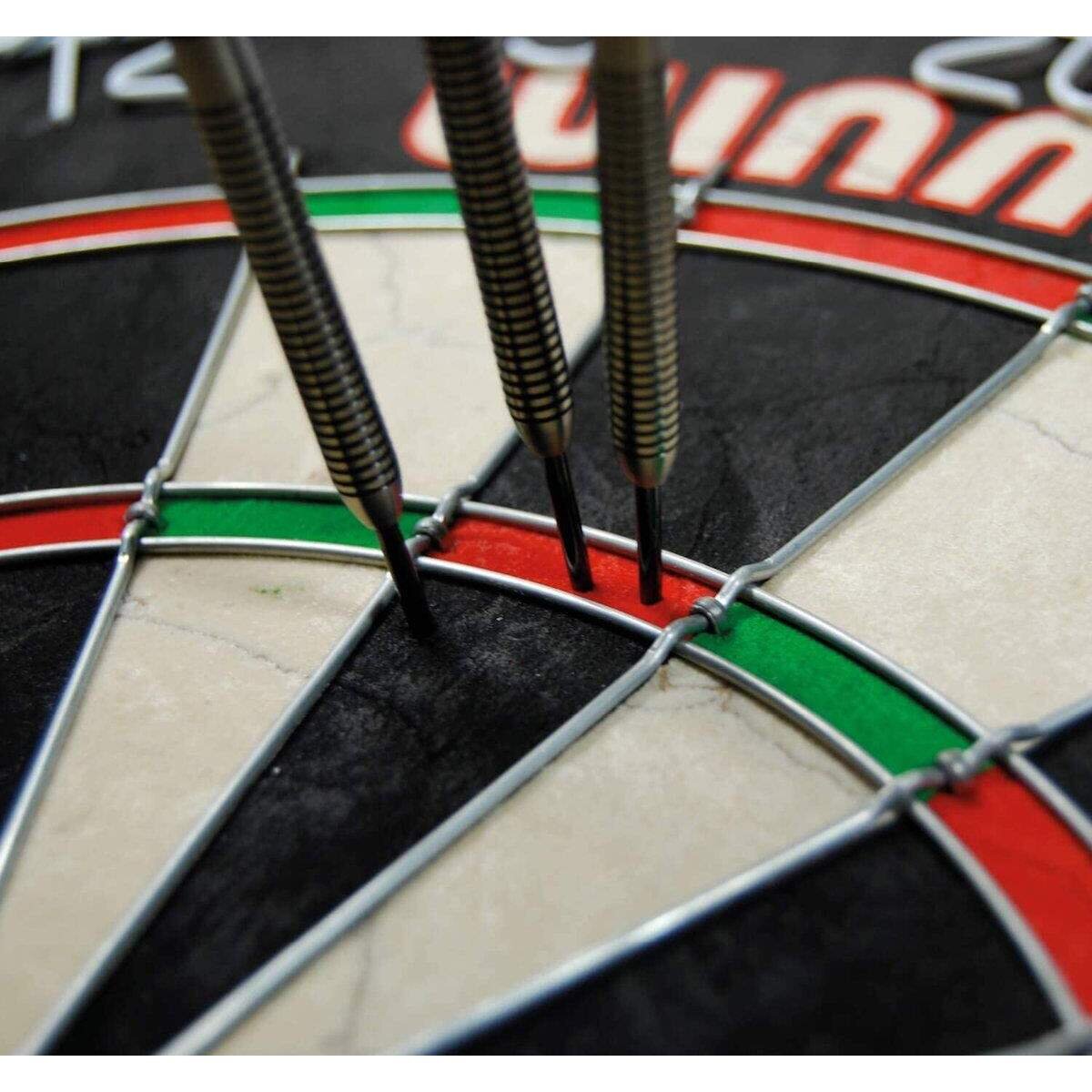 Winmau SFB Dartboard