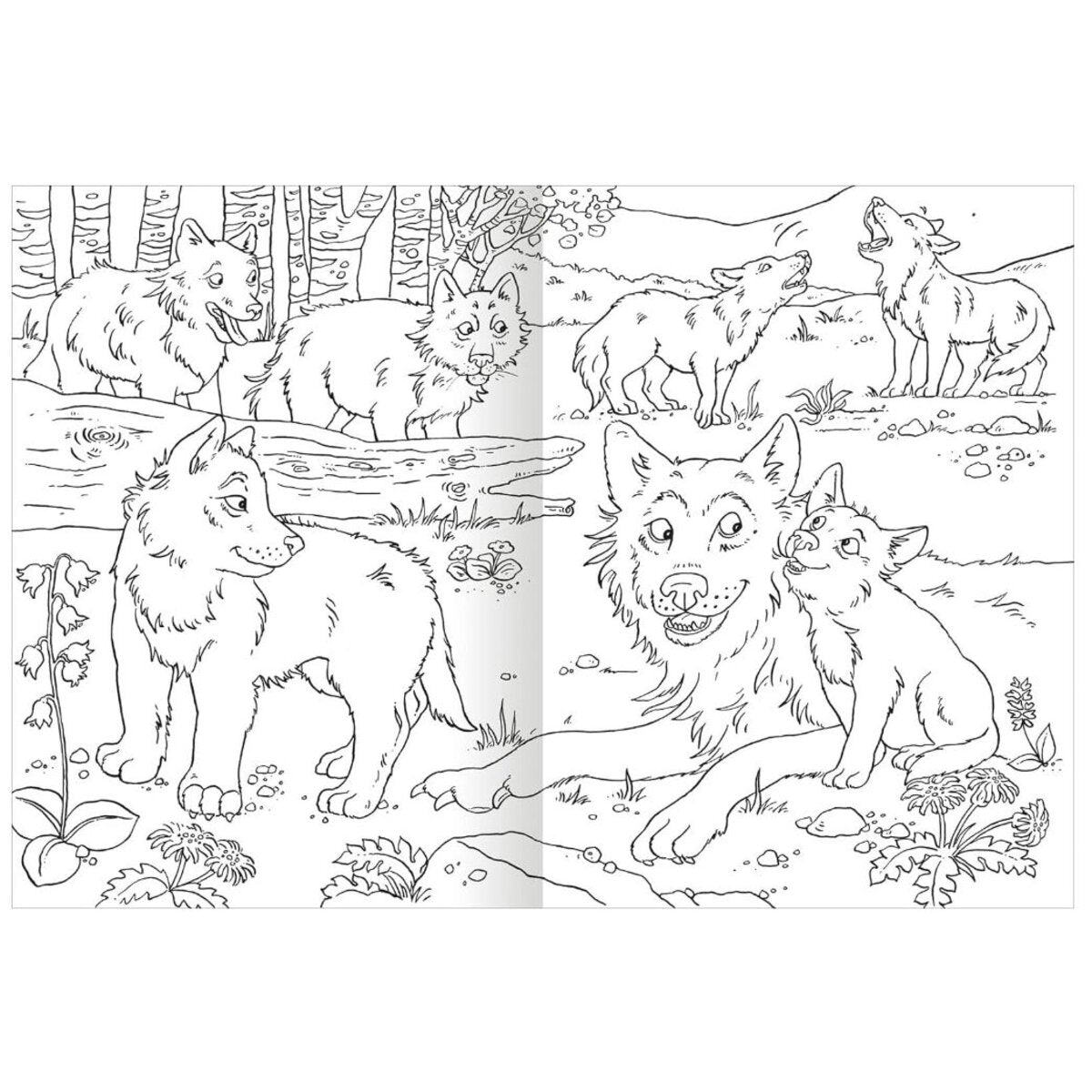 ars Edition Das superdicke Malbuch – Tiere