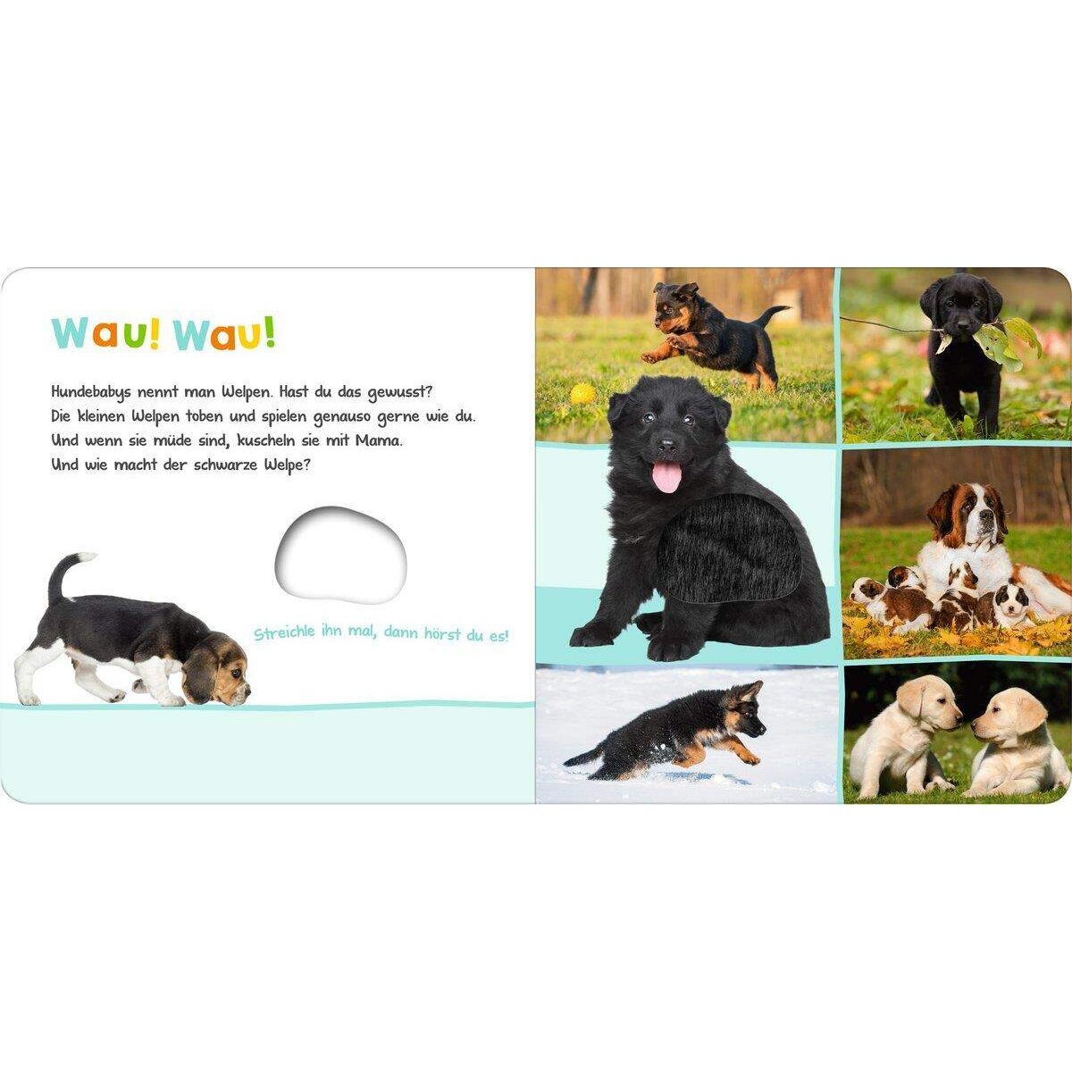 ars Edition Hör mal rein, wer kann das das sein? Tierkinder