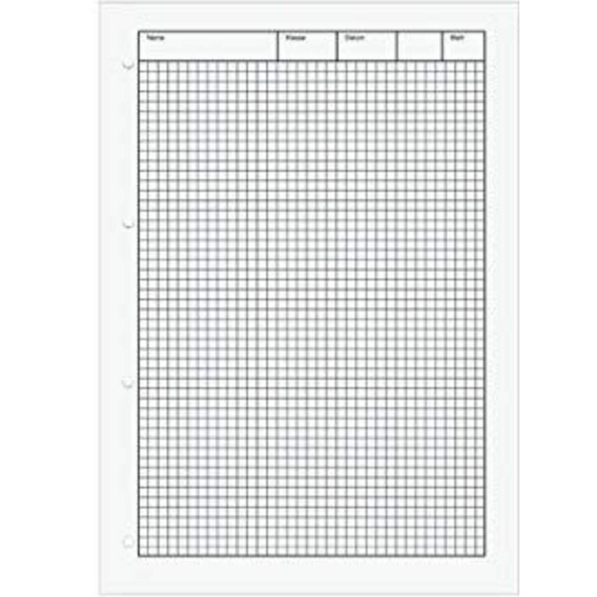 BRUNNEN Kieser-Block A4, 50 Blatt, gelocht, Lineatur 15C