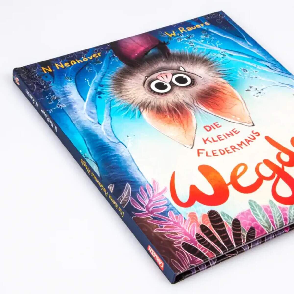 Carlsen Verlag Die kleine Fledermaus Wegda von Nanna Neßhöver, Wiebke Rauers