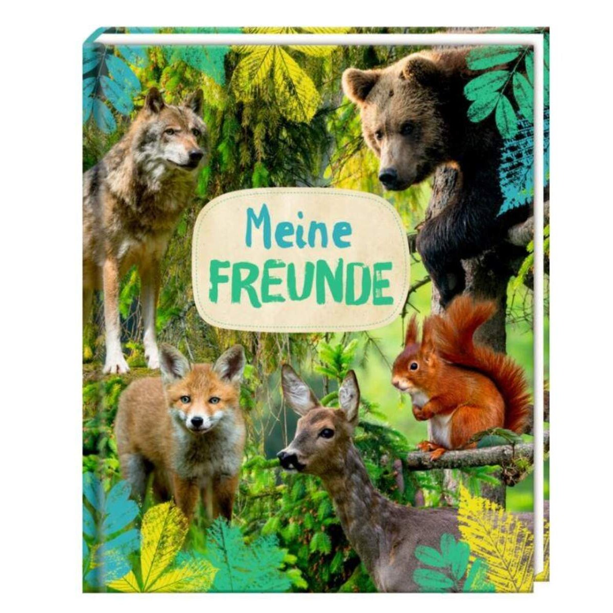 Coppenrath Verlag Freundebuch Meine Freunde Nature Zoom