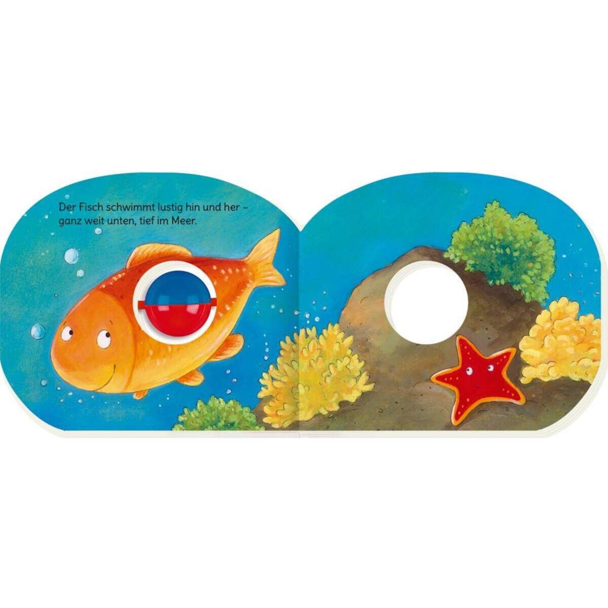 Coppenrath Verlag Mein erstes Kugelbuch: Kleiner Kuller-Käfer