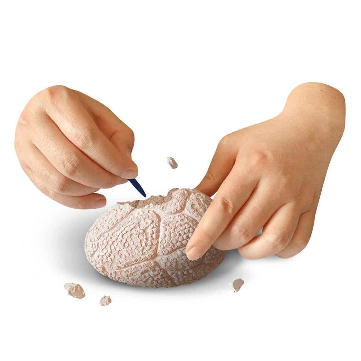 Depesche Dino World Explorer Set