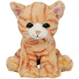 die-spiegelburg-katze-ruby--EFAD53291.jpg