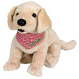 die-spiegelburg-labrador-welpe-luzie-DC5CDACE1.jpg