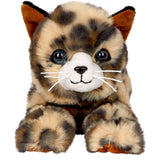die-spiegelburg-liegende-katze-jasmin-CA48AF702.jpg