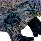die-spiegelburg-waran-nature-zoom-827988162.jpg