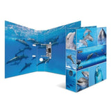 herma-motiv-ordner-delfin-a4-53B704D22.jpg