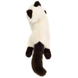 hermann-teddy-91823-birma-katze-AB81B5642.jpg