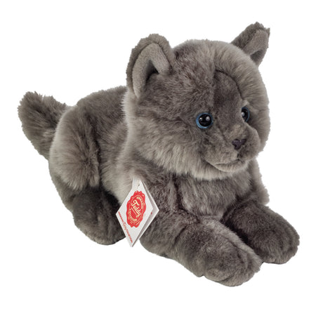 hermann-teddy-91831-kartaeuser-katze-E186E3751.jpg