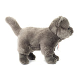 hermann-teddy-91836-kartaeuser-katze-4FC2EE332.jpg