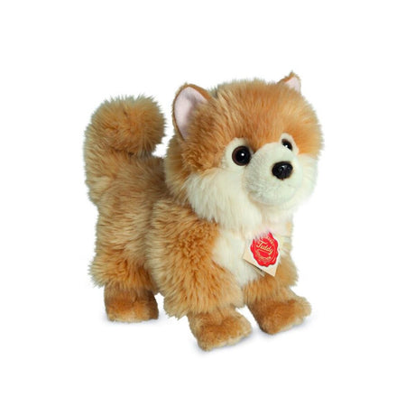hermann-teddy-91922-zwergspitz-22-CD8BD68A1.jpg