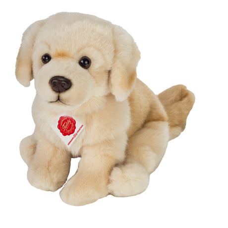 hermann-teddy-91955-golden-retriever-D38824801.jpg