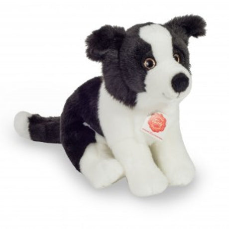 hermann-teddy-91959-border-collie-E214B1791.jpg
