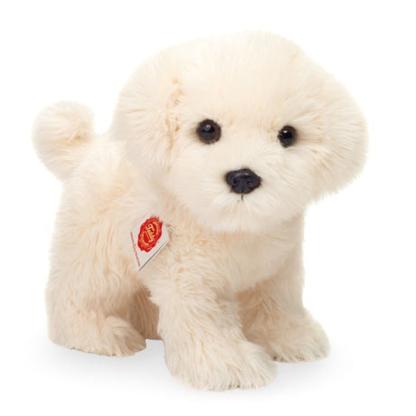 hermann-teddy-91960-malteser-stehend-92896A6E1.jpg