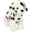 hermann-teddy-91969-dalmatiner-stehend-6B44BC471.jpg