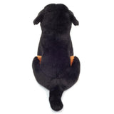 hermann-teddy-91979-berner-sennenhund-DCA4037D2.jpg