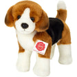 hermann-teddy-91991-beagle-stehend-4FE0A1F11.jpg